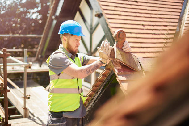 Best Metal Roofing Contractor  in Vilonia, AR